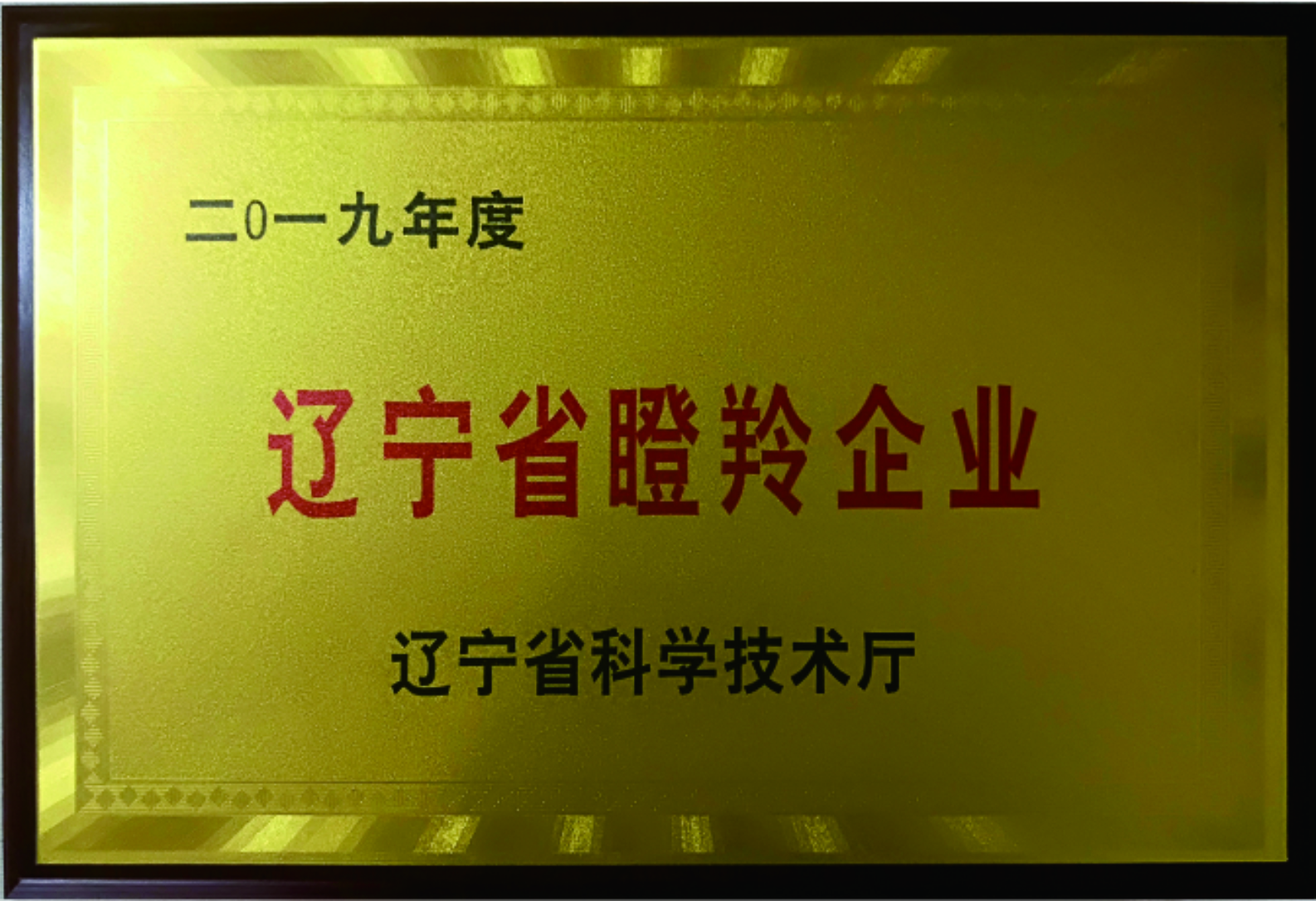 辽宁省瞪羚企业